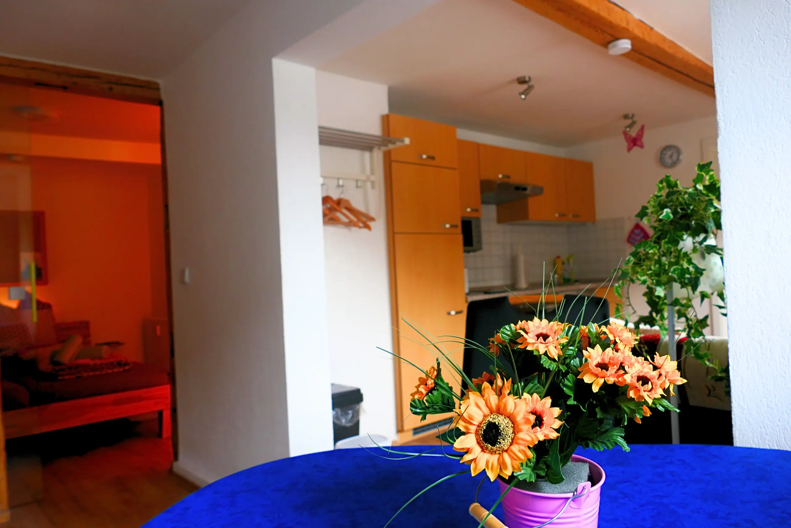 P1010418 Bearbeitet Bearbeitet 11zon Scaled